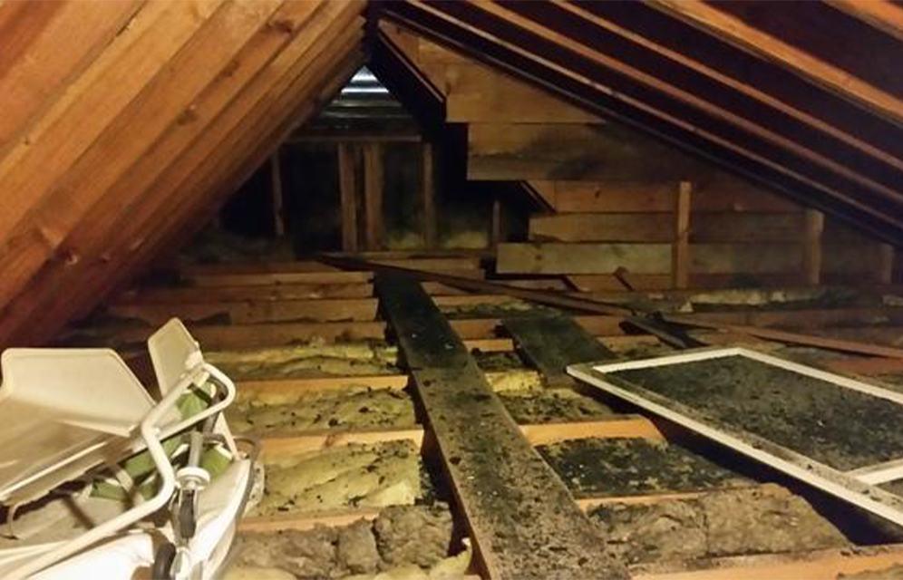 Prime Shield Insulations